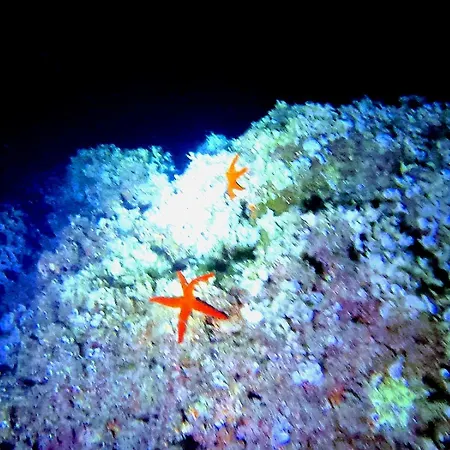 Il Vico Del Greco Le Castella (Calabria)